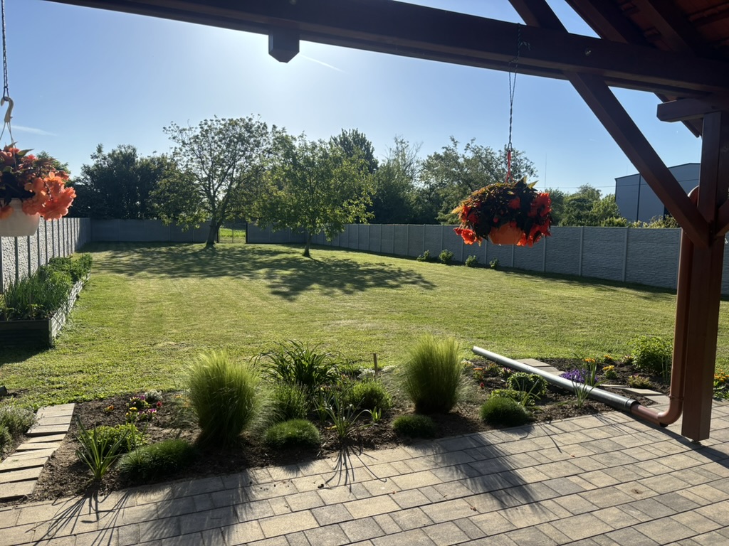 The kennel and living area of the dogs